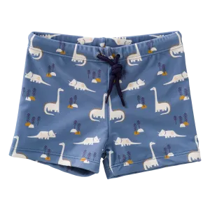 Fresk UV swimming trunks | Dino